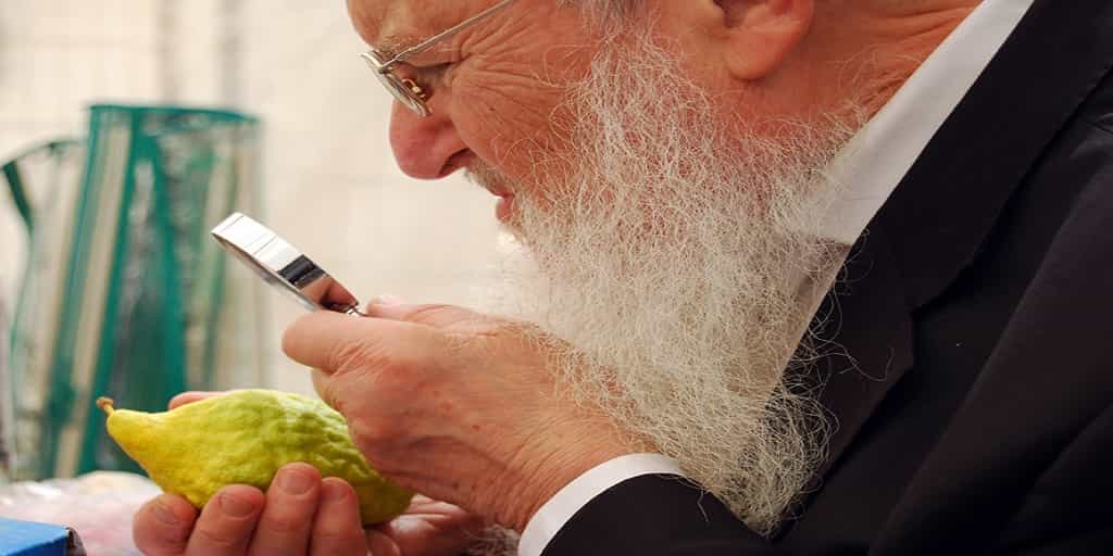 Etrog What is Sukkot 2018 All About? 